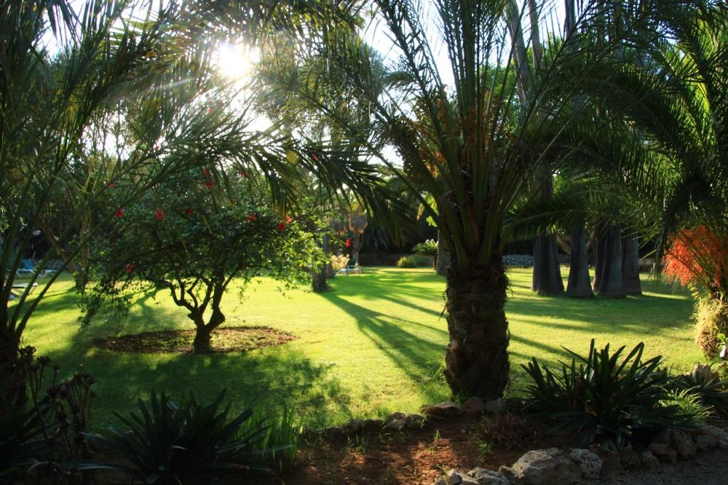 Finca Hotel Predio Son Serra Can Picafort  Buitenkant foto